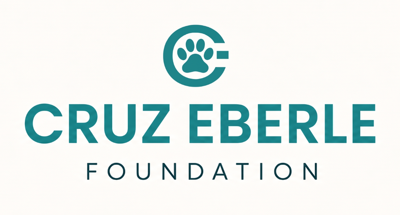 Cruz Eberle Foundation